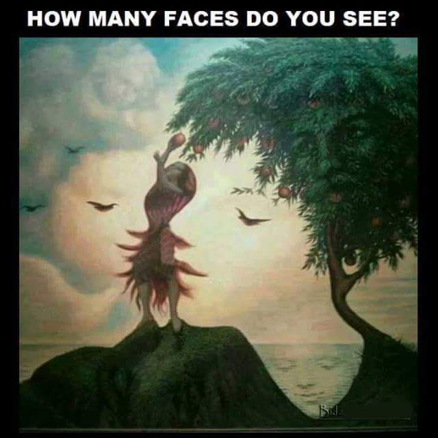 How many Faces do you see
