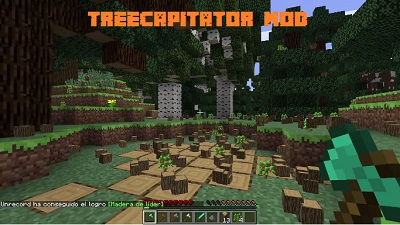 Treecapitator Mod 1 18 1 17 1 1 17 1 16 5 1 16 4 Forge Fabric 1 15 2 Mods Minecraft